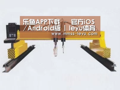 产品名称十九