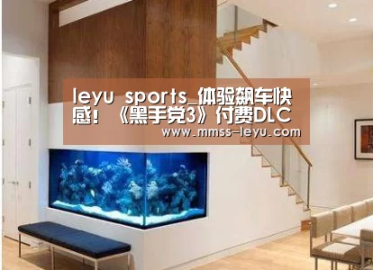 leyu sports_体验飙车快感！《黑手党3》付费DLC3月28日发售