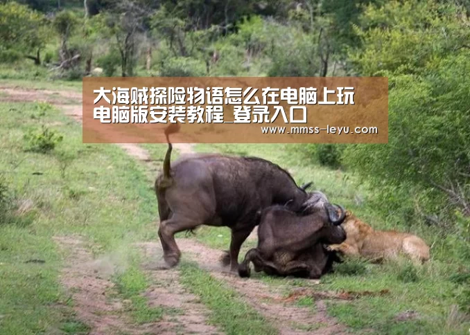 乐鱼体育