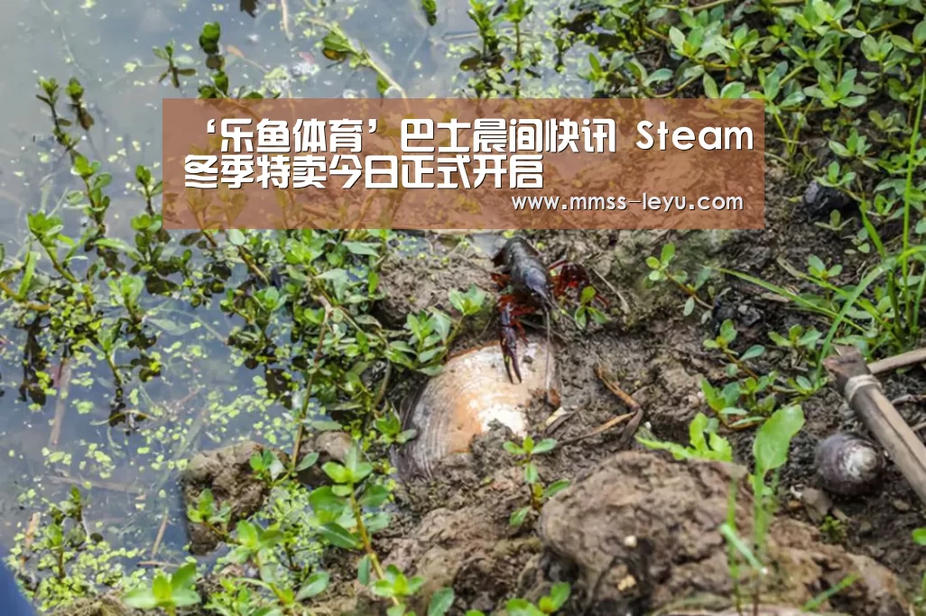 乐鱼体育