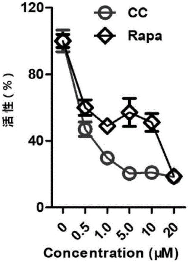 乐鱼VIP注册app下载