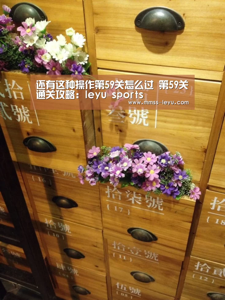 还有这种操作第59关怎么过 第59关通关攻略：leyu sports