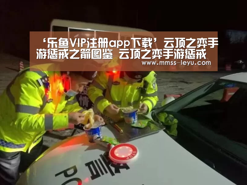 登录入口