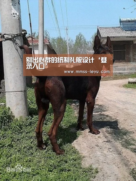 乐鱼体育